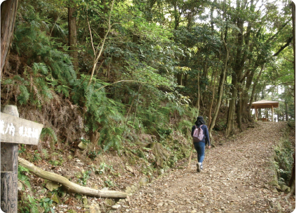 対馬観光情報WEBサイト