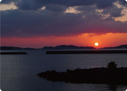 対馬観光情報WEBサイト